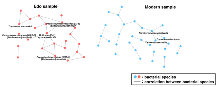 Figure 3. Bacterial networks based on the co-occurrence relationships among bacterial species.