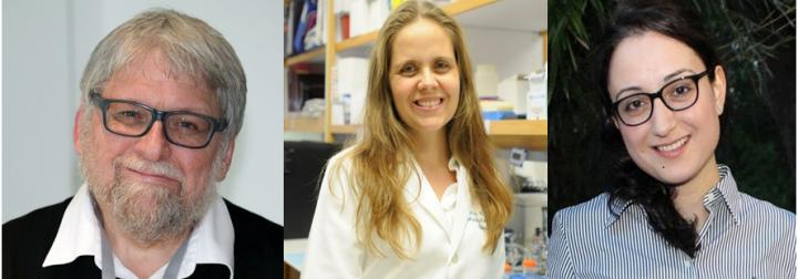 The First and the Corresponding Authors of This Work