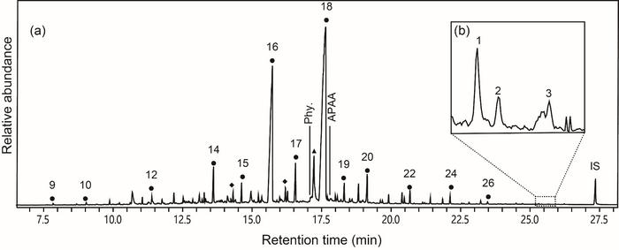 Figure 2 Partial total ion current chromatogram of SZ10.