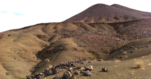 The newly discovered site from the Fezouata Shale