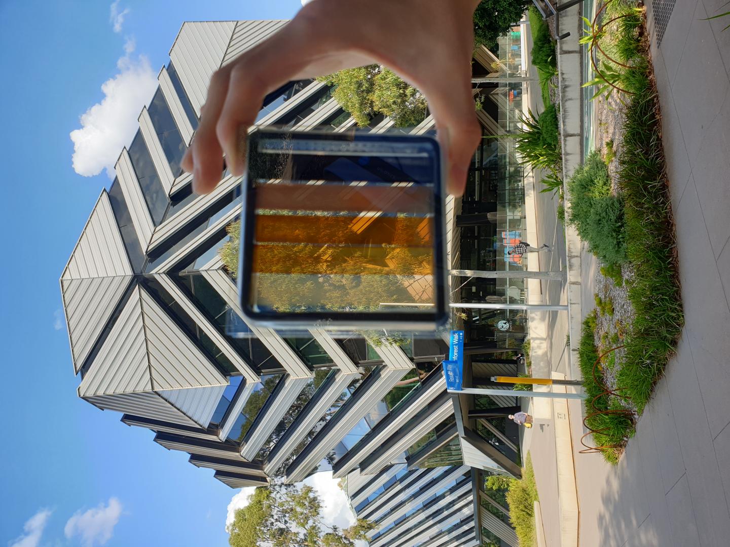 A semi-transparent perovskite solar cell with contrasting levels of light transparency