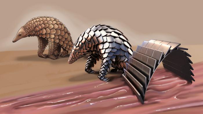 Pangolin the inspiration for medical robot