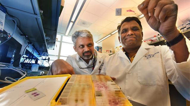 Dr. Puttur D. Prasad and Dr. Muthusamy Thangaraju, Medical College of Georgia at Augusta University