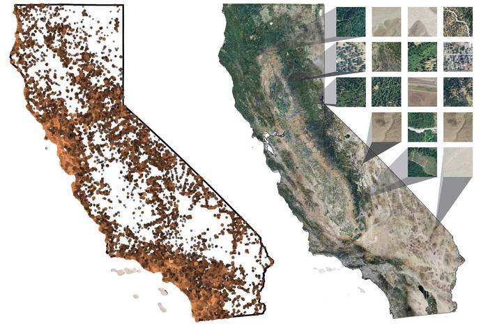 California plant distributions from iNaturalist data using AI