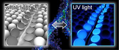 Microcapsules Containing AIE Fluorescence