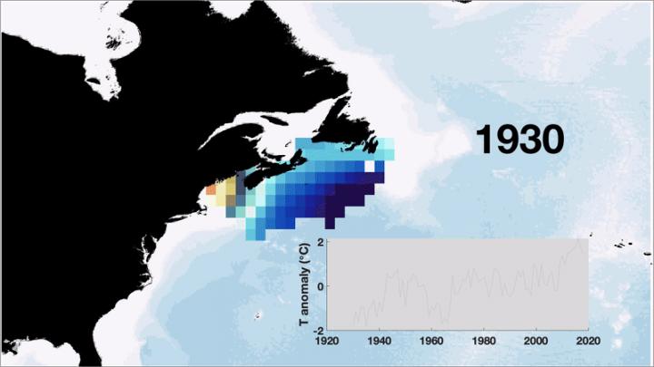 Animated Map and Time Series