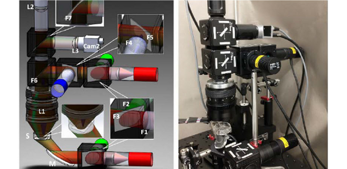Researchers developed a portable and low-cost macroscopic mapping system for all-optical cardiac electrophysiology with applications in drug development and personalized treatments.