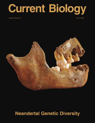 6 June 2006 Current Biology Cover
