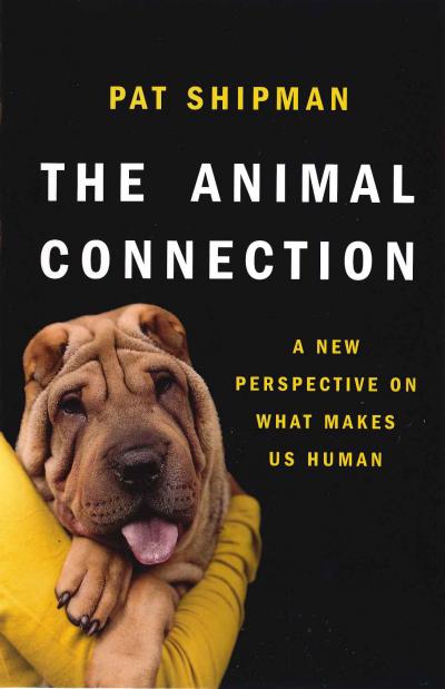 The Animal Connection -- A New Perspective on What Makes Us Human