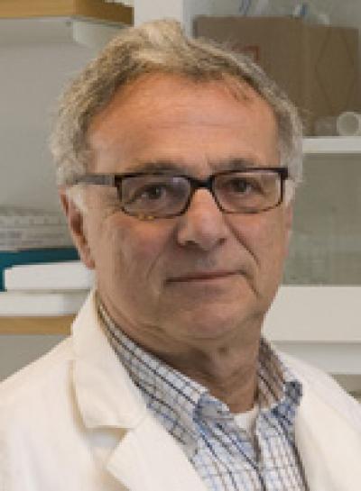 Jörgen A. Engel, University of Gothenburg