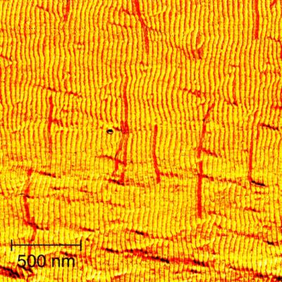 Self-aligning Nanotubes