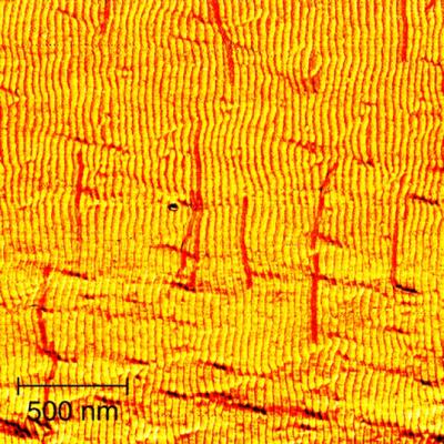 Self-aligning Nanotubes