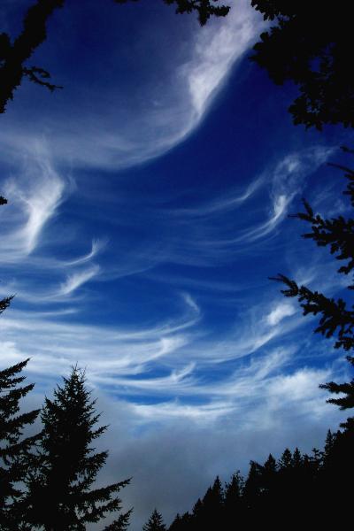 Cirrus Clouds
