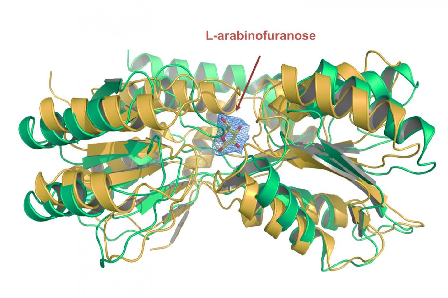 A Simple Solution to a Complex Problem