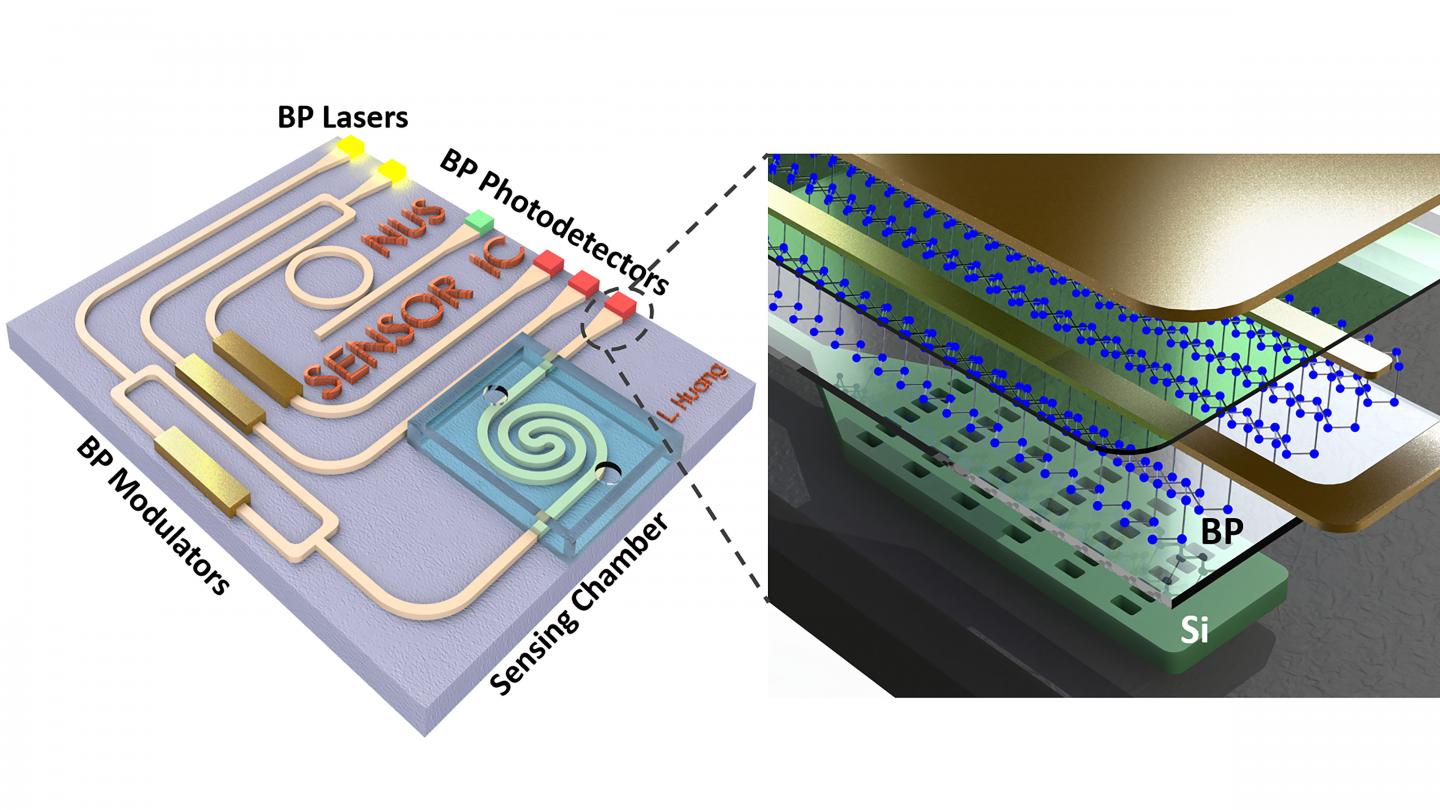 Schematics of An On-Chip Mid-Infrared System Based on Black Phosphorus-Silicon Hybrid Platform