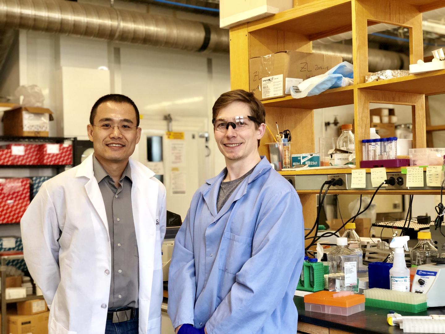 Yibin Kang and Mark Esposito Link Phase Separations to Cancer and Discover Organelle