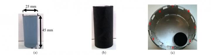 Prosthesis Experiment