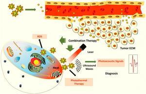 Schematic indicating photo-theranostic potential of TSP-CA