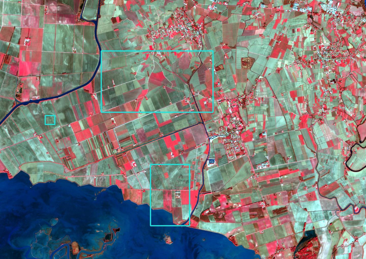 Image took by ESA's Sentinel 2 satellite. False colors.