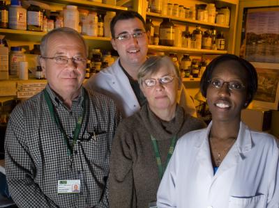 University of South Florida Molecular Virology Research Group