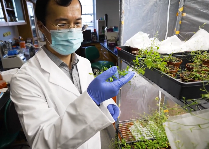 Yiping Qi in the lab, University of Maryland