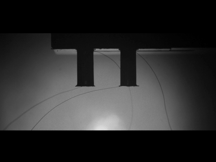 Motions of dynamic single-DEA actuator.