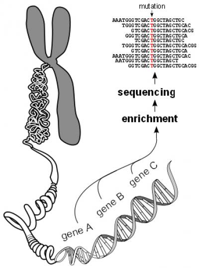 Gene Sequencing