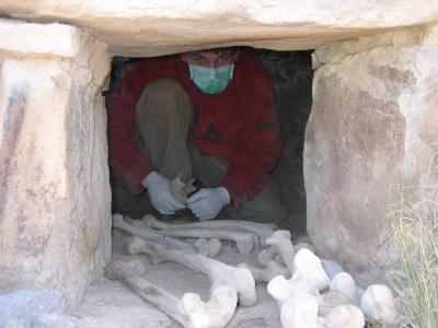 Forensic Science Used to Determine Who's Who in Pre-Columbian Peru