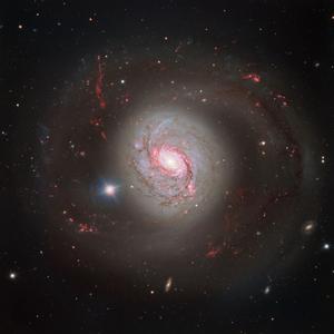 An image of the spiral galaxy NGC 1086 obtained by the European Southern Observatory’s Very Large Telescope (VLT).