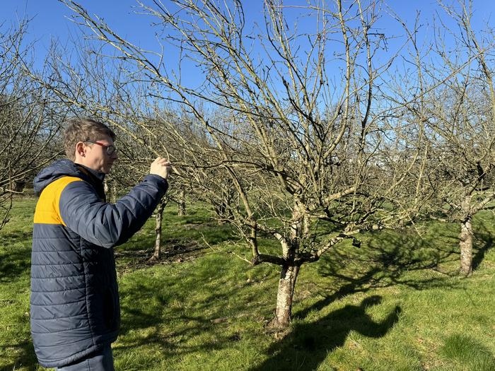 Dr Chris Wyver with a cherry tree