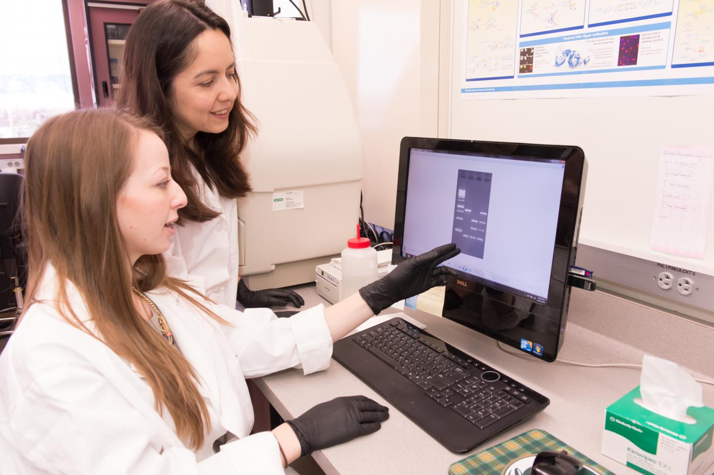 Colorado State University Researchers