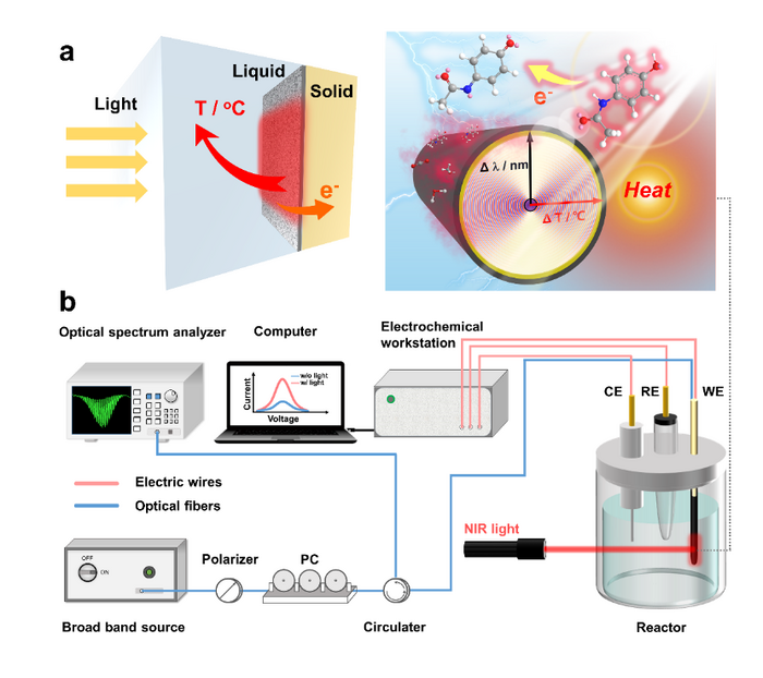 Operando monitoring thermal effects in photo-involved catalytic reactions via an optical fiber.