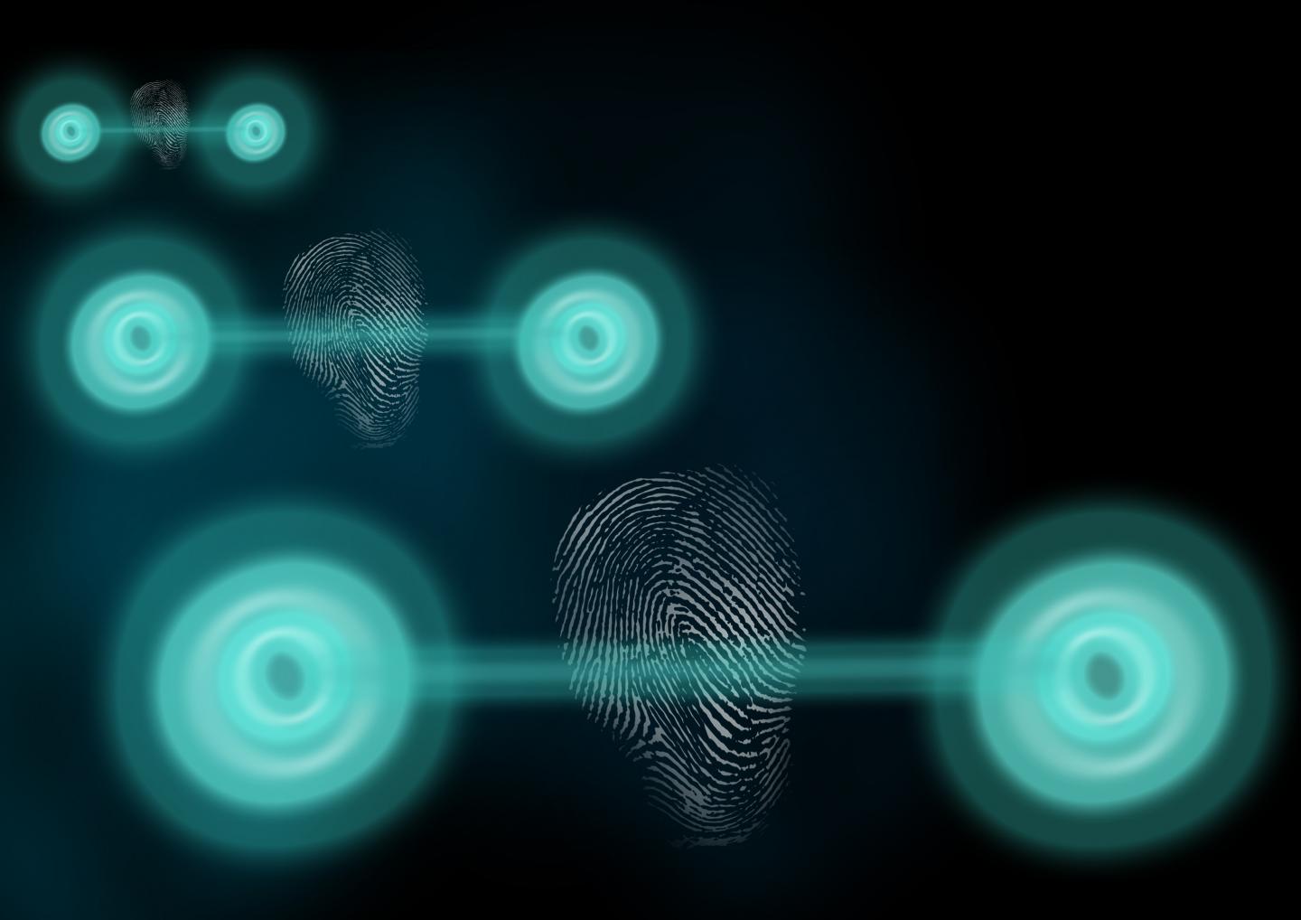 Quantum States Reveal Themselves with Measurable 'Fingerprint'