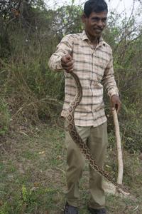 Kali, a snake catcher from Chennai