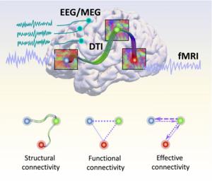 Depictions of “connections” in a brain connectome and the resulting three types of connectivity.