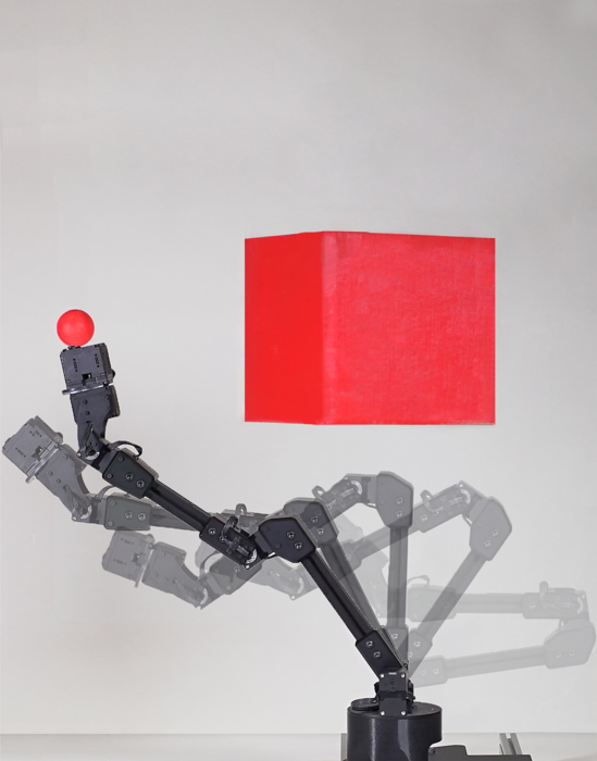 A Robot Learns to Imagine Itself