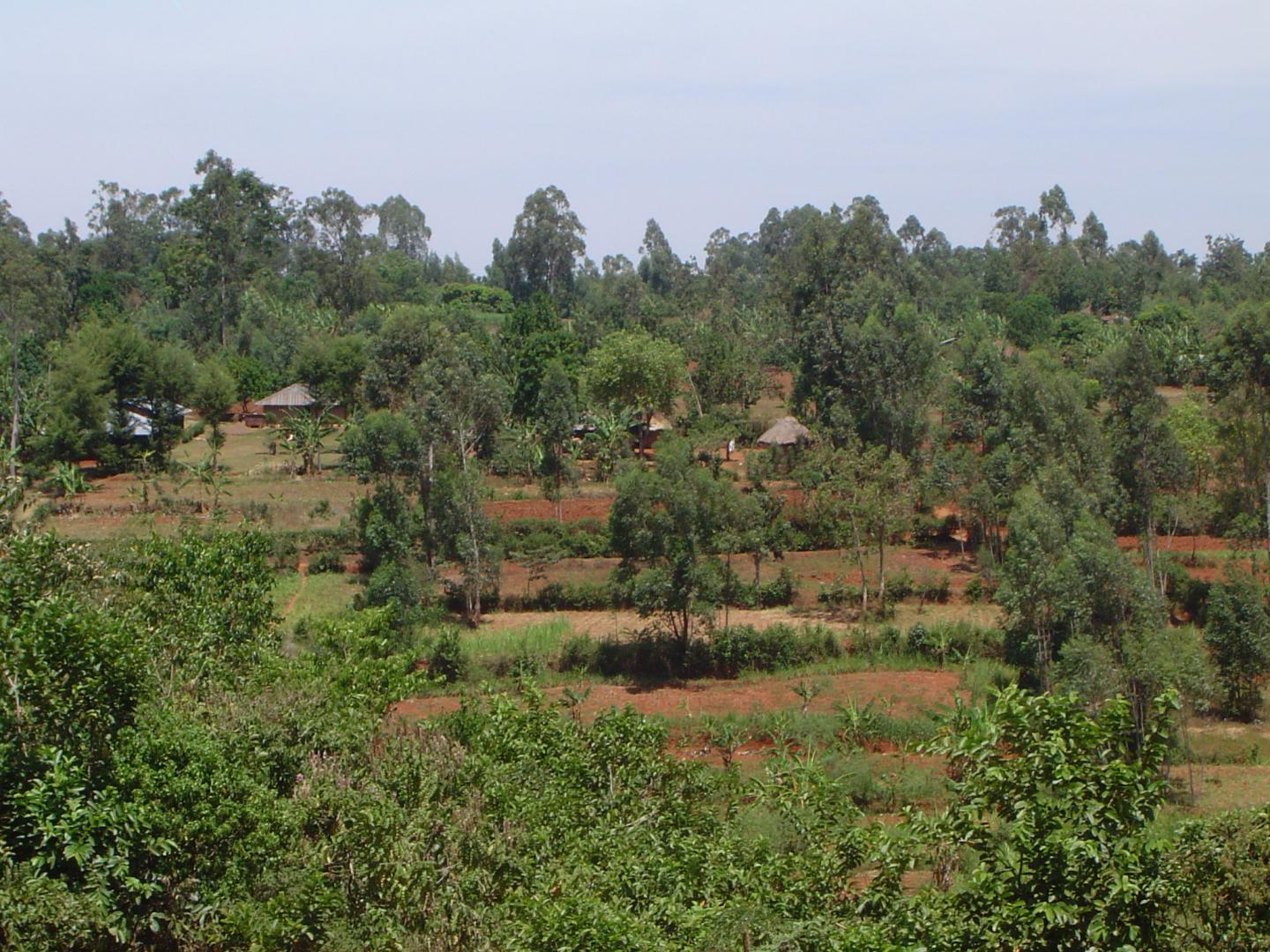 Landscape Kenya