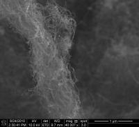Carbon Nanotubes (2 of 2)