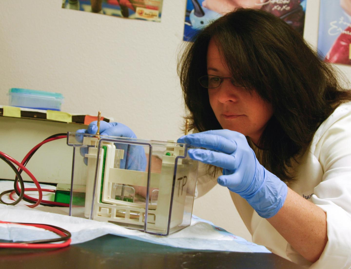 UA Steele Center Researcher and Associate Professor, Melissa Halpern, Ph.D.