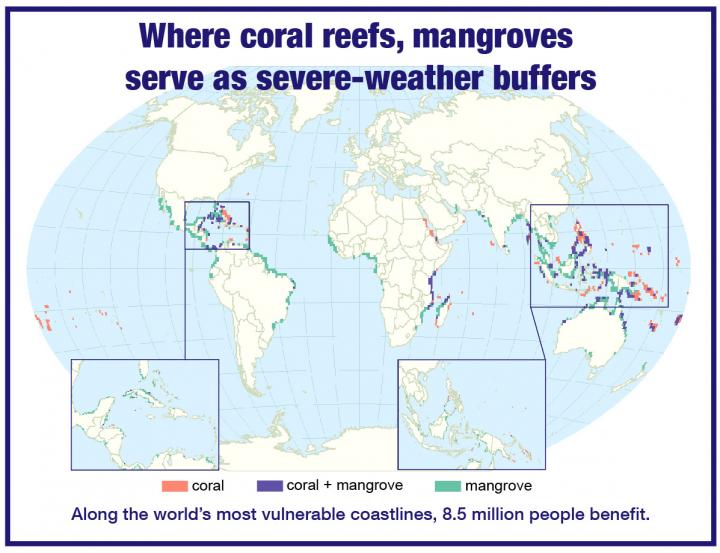 Coral Reefs, Mangroves