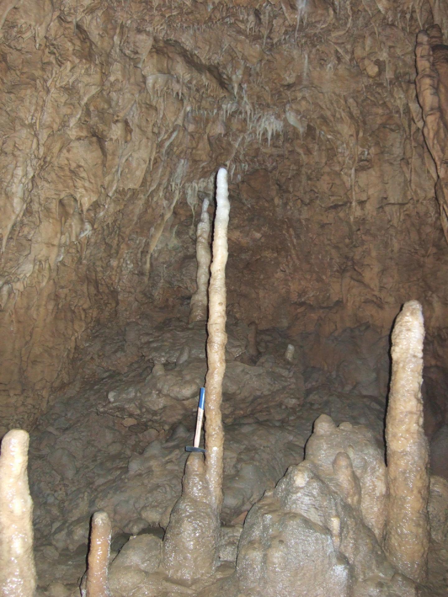 Stalagmites That Store Prehistoric Rainwater Give Clues About Holocene Temperatures (1 of 3)