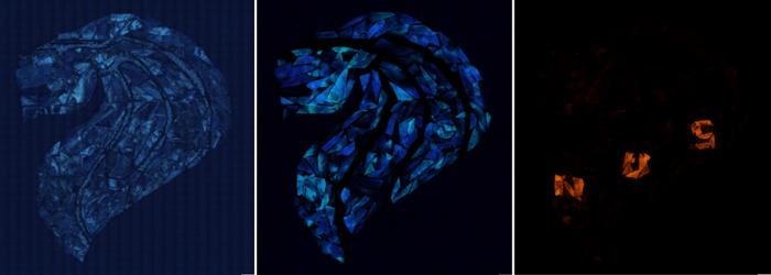 Upcycling fish scales for wate [IMAGE] | EurekAlert! Science News Releases