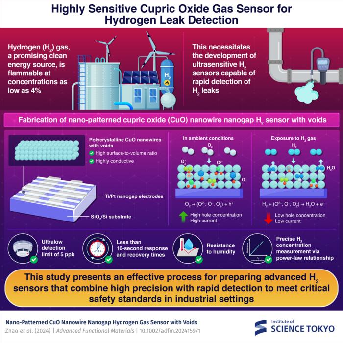 Highly Sensitive Cupric Oxide Gas Sensor for Hydrogen Leak Detection