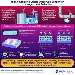 Innovative Nano-Sensor Enhances Safety in Hydrogen Technology