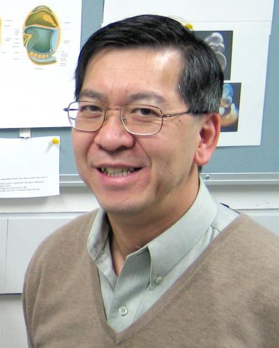 Professor Patrick Tam
