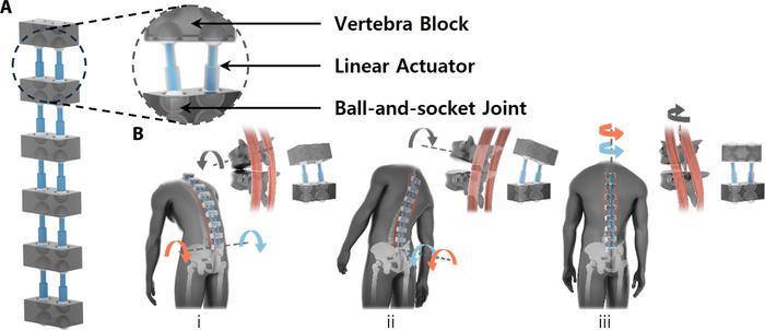 Figure 2. Multi-directional back support and motion assist mechanism of the BBEX