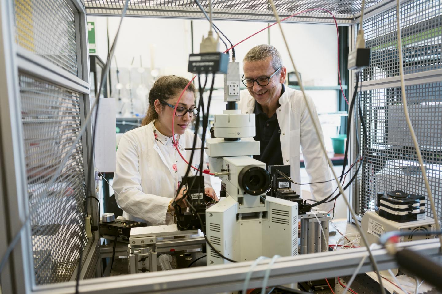 Researchers in the Lab