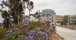 UC San Diego Health Medical Campus La Jolla