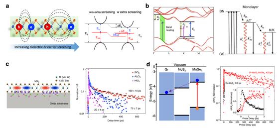 Figure |Some factors influencing the photocarrier relaxation dynamics in 2D semiconductors.