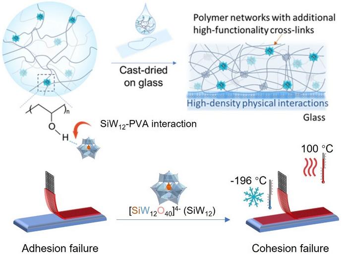 POT-PVA Nanocomposites for Extreme Conditions